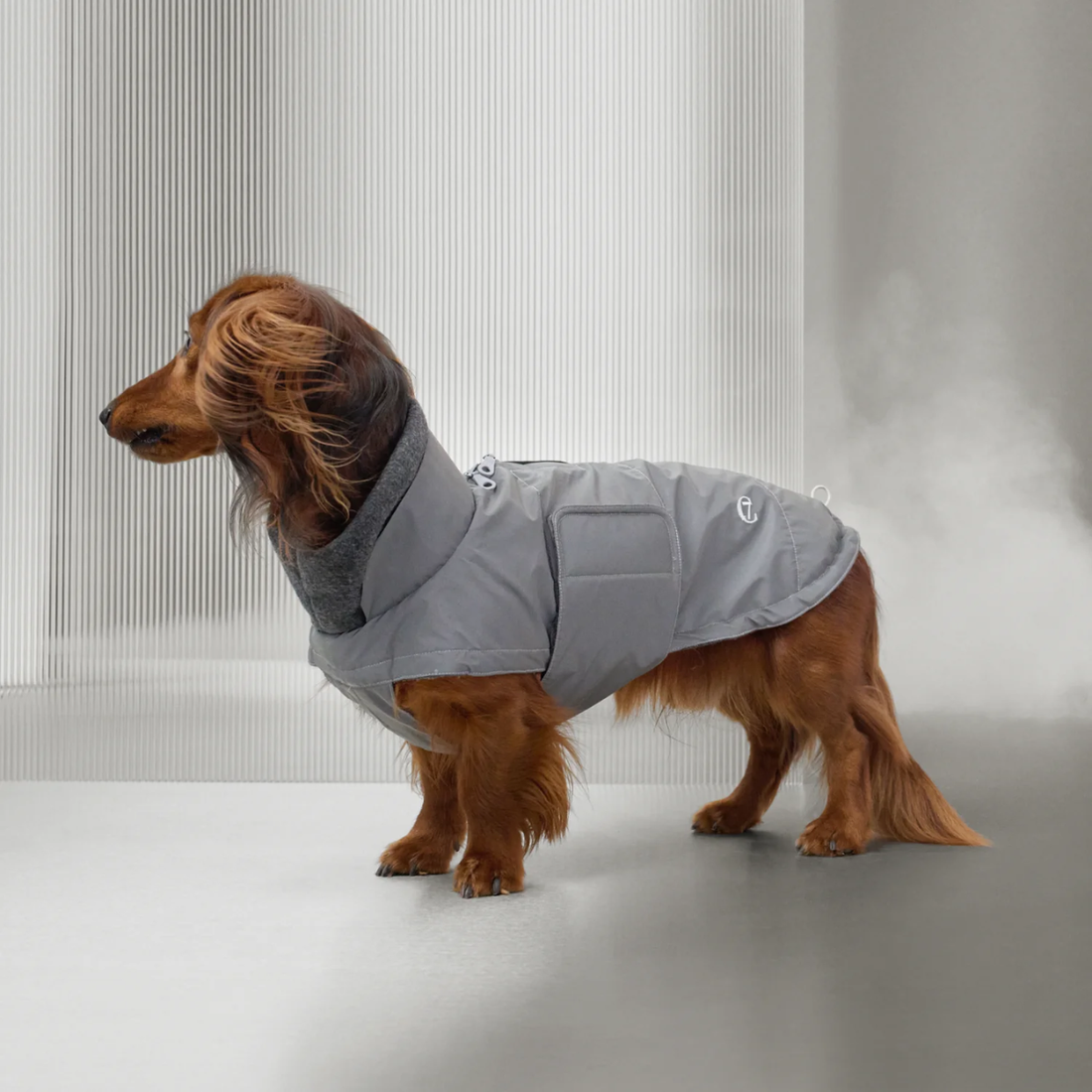 Cloud7 Brooklyn, Dackel // Warme und wasserabweisende Hundedecke (reflektierend)