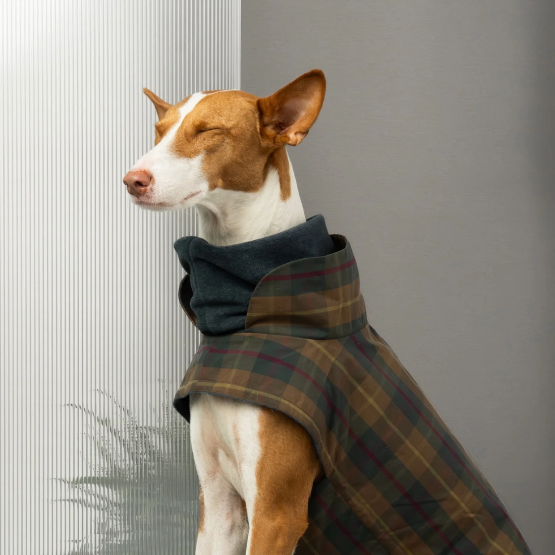 Cloud7 Brooklyn // Warmer und wasserabweisender Hundemantel (gewachster Tartan)