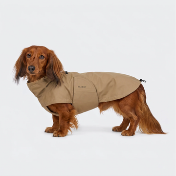 Cloud7 Dublin 2.0, Dackel // Wasser- und winddichte Regenjacke (Sandbraun)
