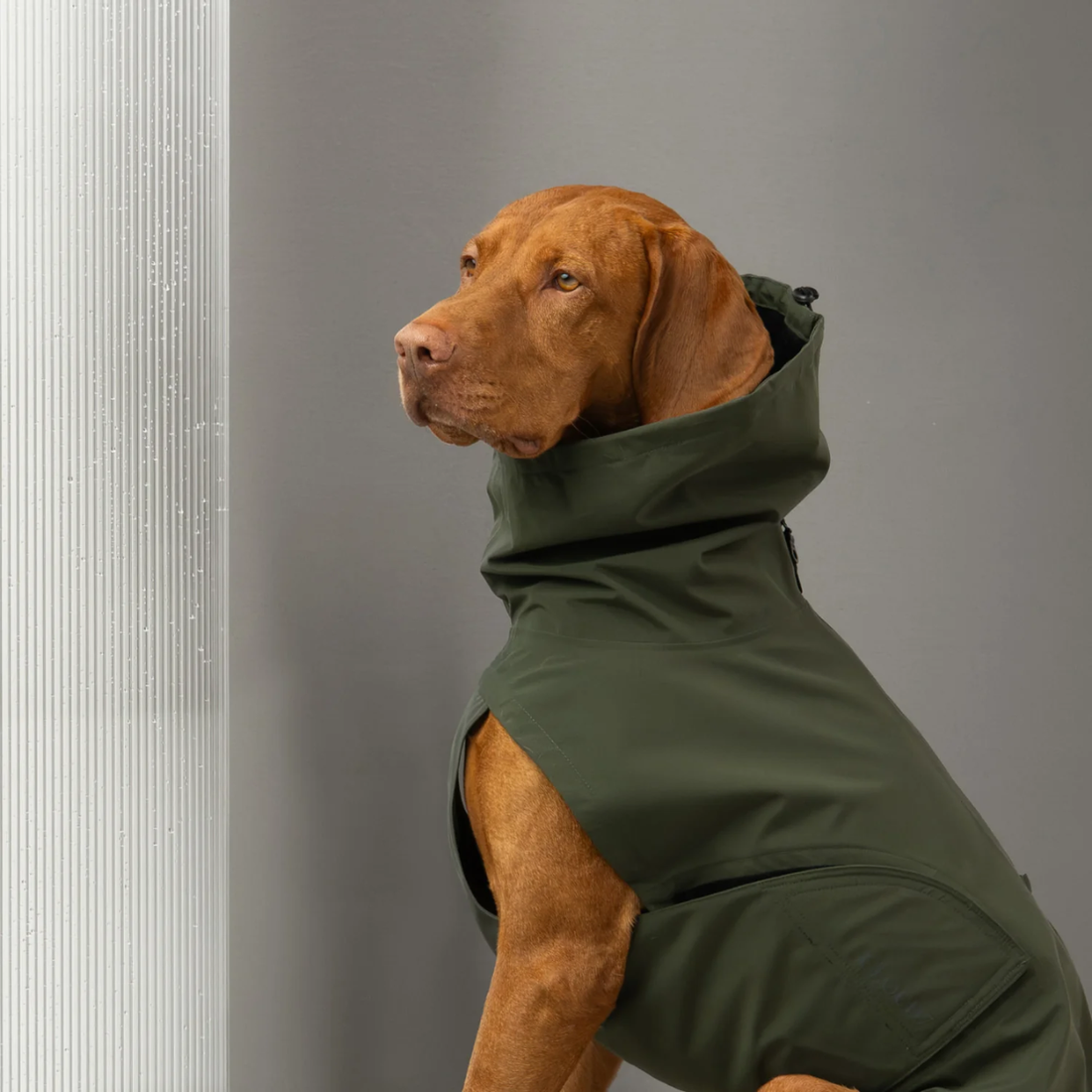 Cloud7 Dublin 2.0 // Wasser- und winddichte Regenjacke (dunkeloliv)