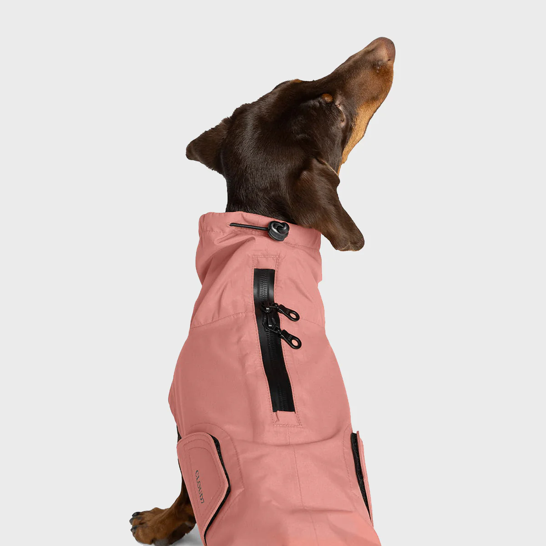 Cloud7 Dublin 2.0, Dackel // Wasser- und winddichte Regenjacke (faded rose)