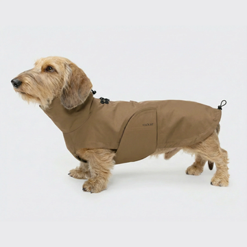 Cloud7 Dublin 2.0, Dackel // Wasser- und winddichte Regenjacke (Sandbraun)