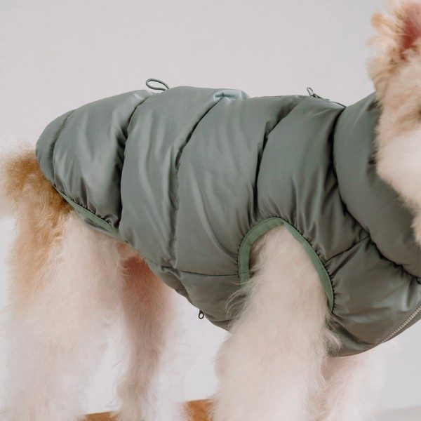 Cushycushy Vest // Hundejacke die nicht über den Kopf muss (Eisberggrün) Größe 2