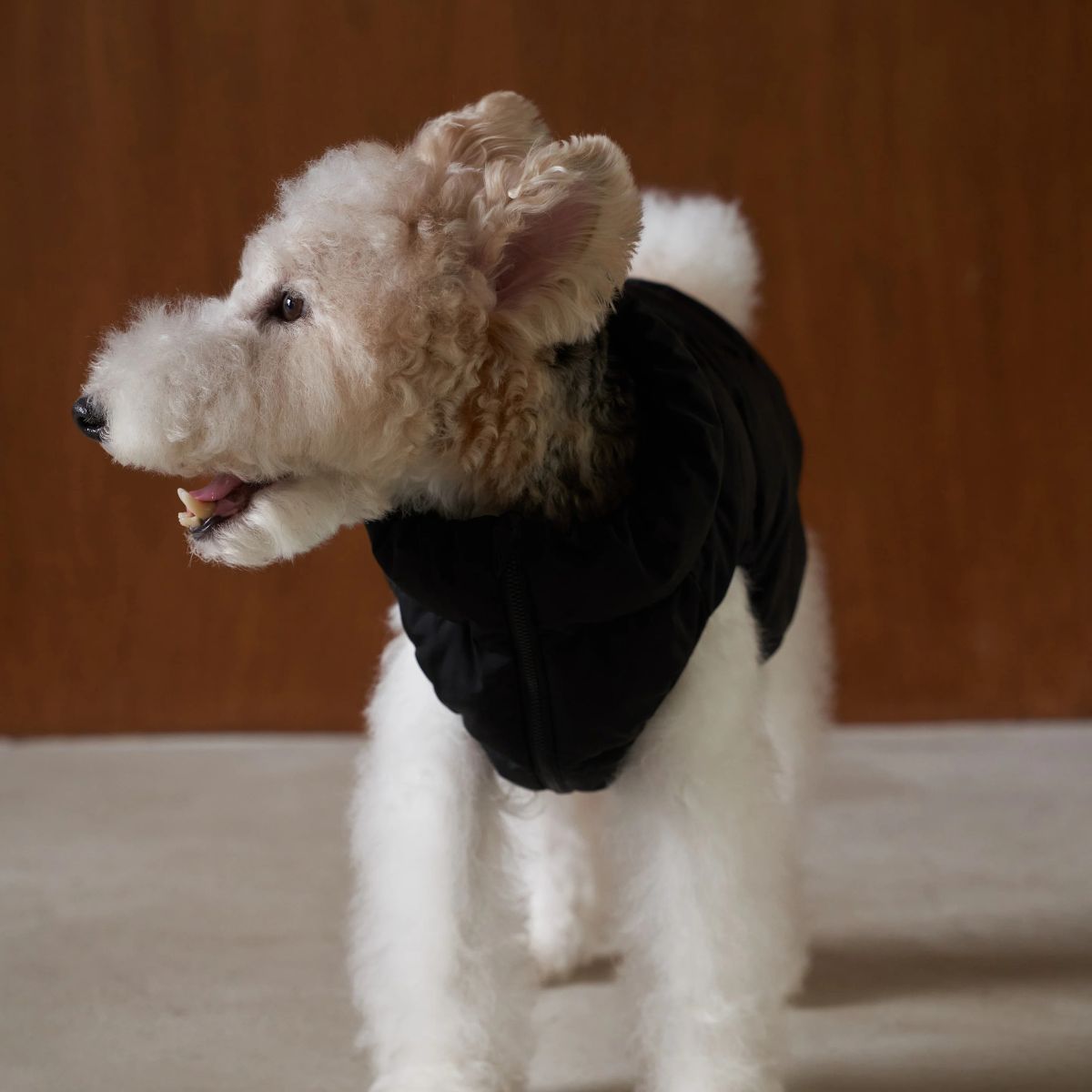 Cushycushy Vest // Hundejacke die nicht über den Kopf muss (Eisberggrün) Größe 2