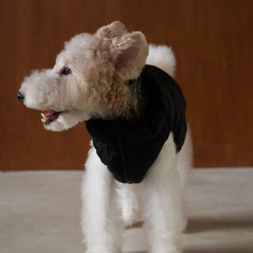 Cushycushy Vest // Hundejacke die nicht über den Kopf muss (Eisberggrün) Größe 2
