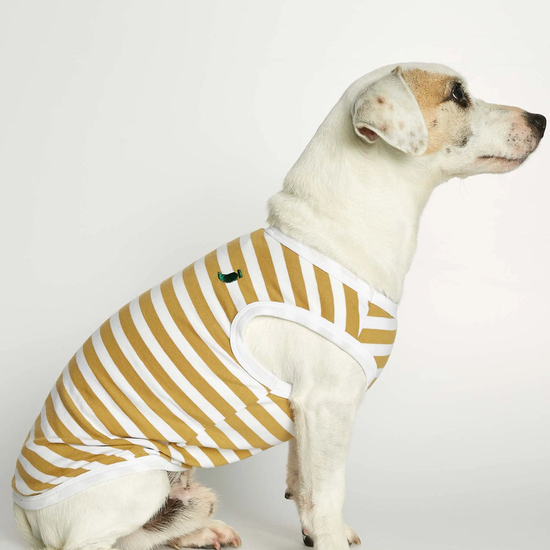 Daniel Bodysuit // Hundepullover aus Bio-Baumwolle (Dijon)