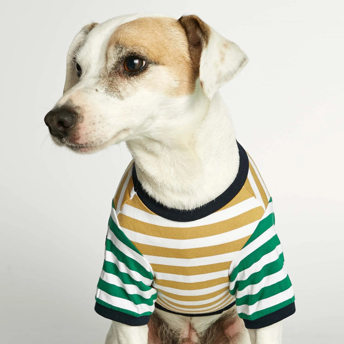 David T-Shirt // Hundeshirt mit Ärmeln aus Bio-Baumwolle (Dijon/Grün)