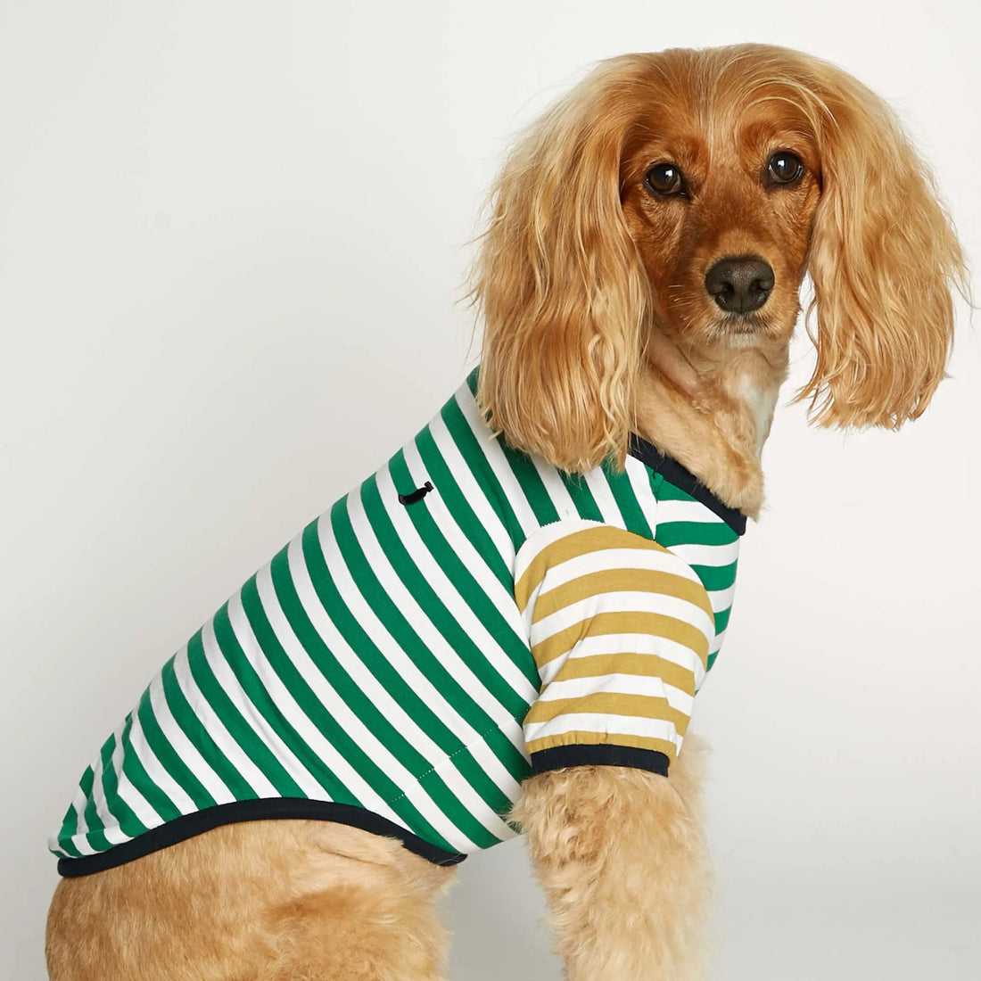 David T-Shirt // Hundeshirt mit Ärmeln aus Bio-Baumwolle (Grün/Dijon)