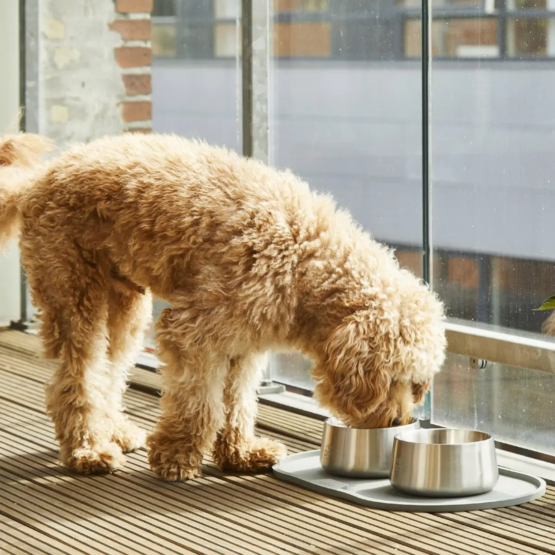 Dog Copenhagen Vega // Rutschfester Hundenapf aus Edelstahl