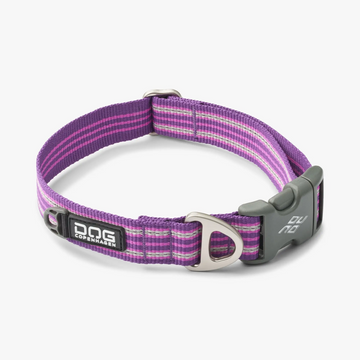 Dog Copenhagen Urban Style™ // Leichtes und strapazierfähiges Halsband (Purple Passion)