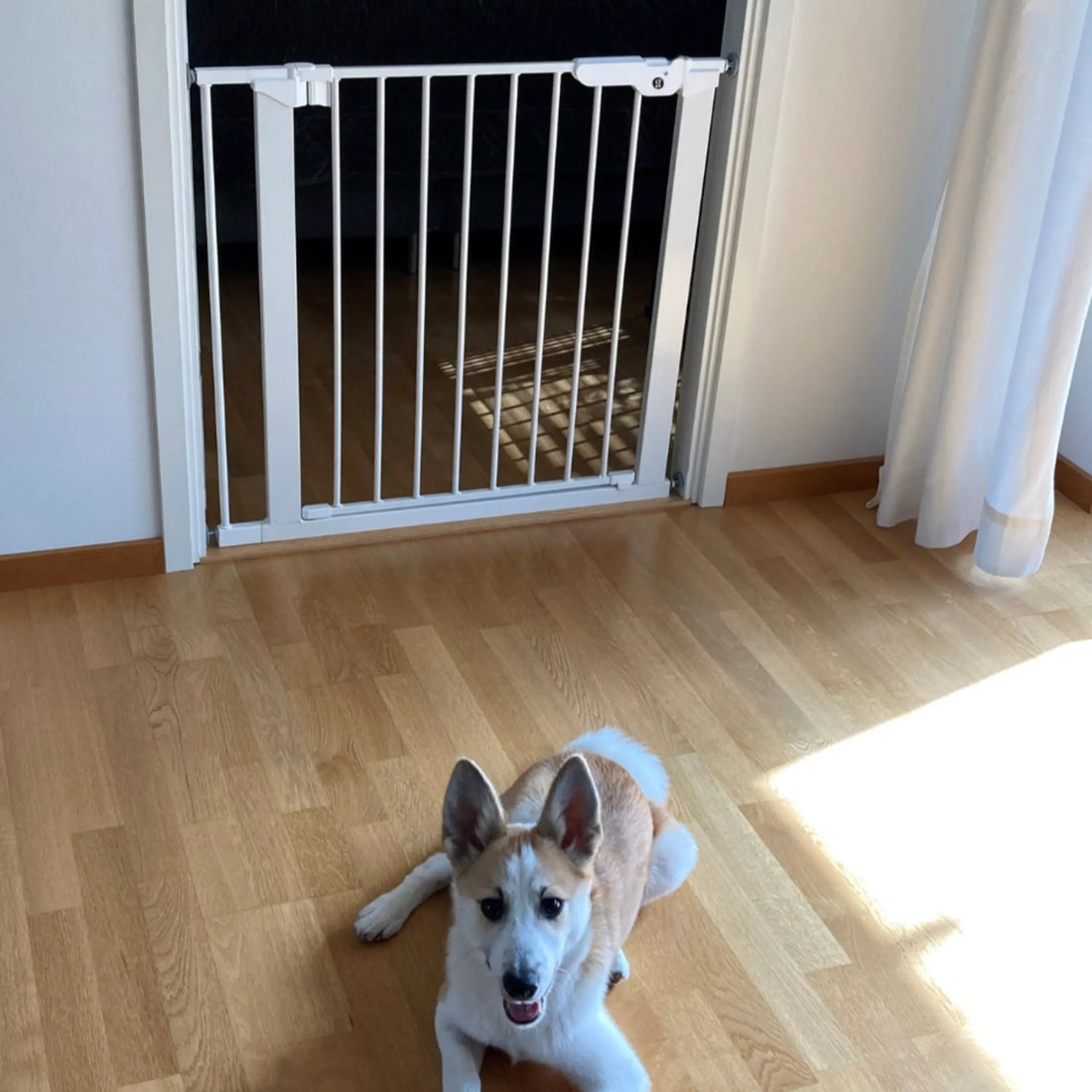 Dogspace Weiß // Benutzerfreundliches Hundegitter für den Türrahmen (2 Größen)