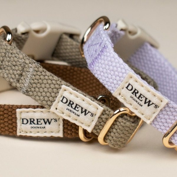 Mein erstes Halsband // Verstellbares Welpenhalsband (beige)