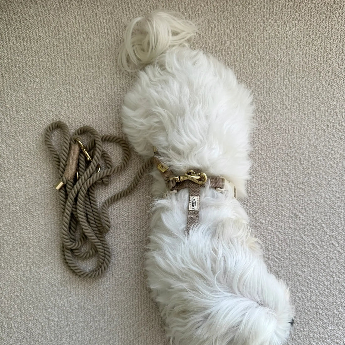 Drew's Dogwear Khaki // Verstellbare und weiche Seilleine (Khaki)