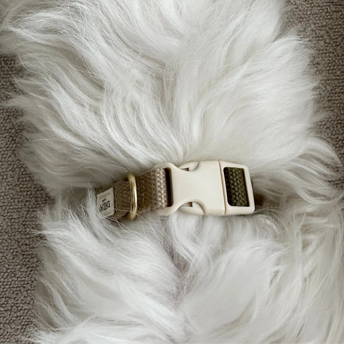 Drew's Dogwear Olive // Verstellbares Halsband (grün/beige)