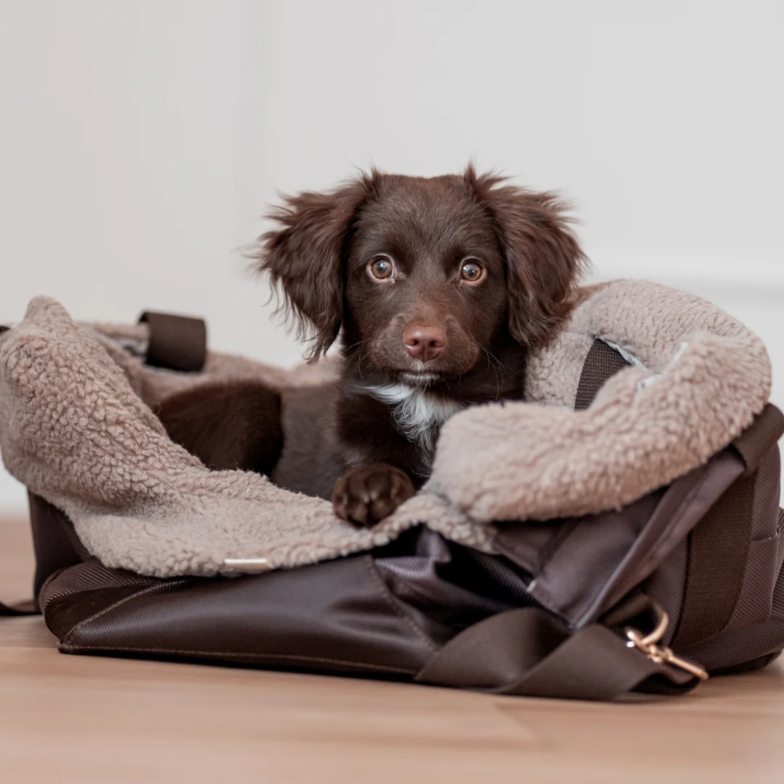 Drew's Dogwear Cali // Hundetasche mit Teddyfutter