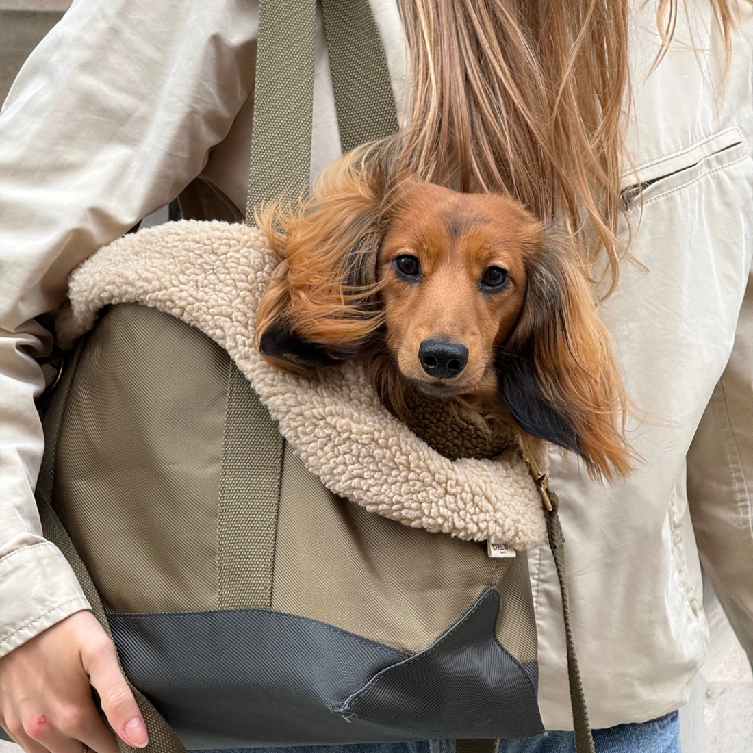 Drew's Dogwear Olive // ​​Hundetasche mit Teddyfutter (Limitierte Edition)