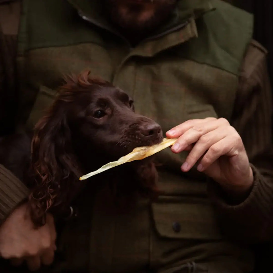 Essential Small Lamb Skin Delights // Snacks aus 100 % getrockneter Lammhaut