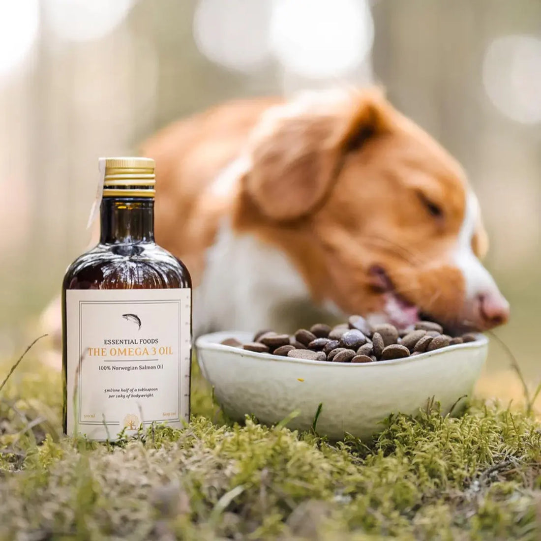 Essential The Omega 3 Oil // Kaltgepresstes Lachsöl für Hunde (500 ml)