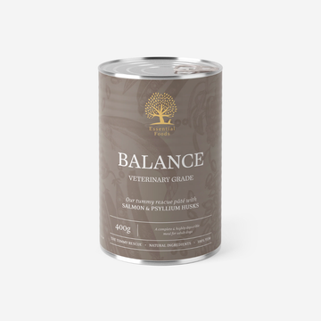Essential Balance Paté // Schonendes Nassfutter für empfindliche Mägen (400 g)