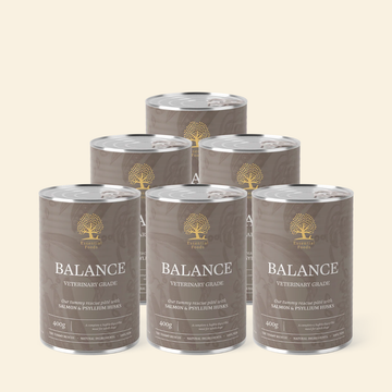 Essential Balance Paté // Schonendes Nassfutter für empfindliche Mägen (6 x 400g)