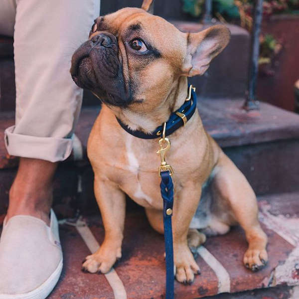 Butter Navy City Leash // Klassische Hundeleine aus weichem Leder (Dunkelblau)