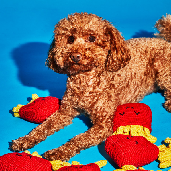 Ware of the Dog Crochet //  Økologisk hæklet legetøj (pommes frites)