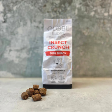 Globe Buddy Insect Crunch // Knusprige, nachhaltige Leckereien