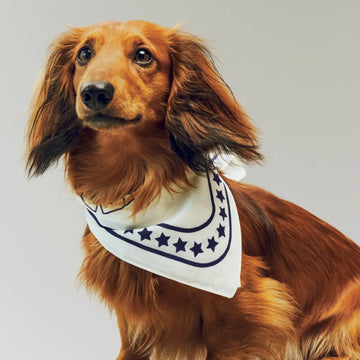 HAY Dogs Scarf // Hundehalstuch aus Baumwolle (weiß/blau)