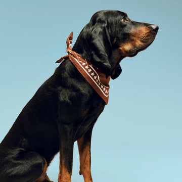 HAY Dogs Scarf // Hundebandana i bomuld (brun)