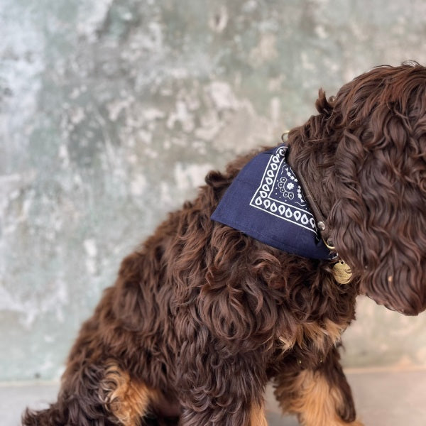 Dog Collective // Verstellbares Bandana-Halsband (Paisleyblau)