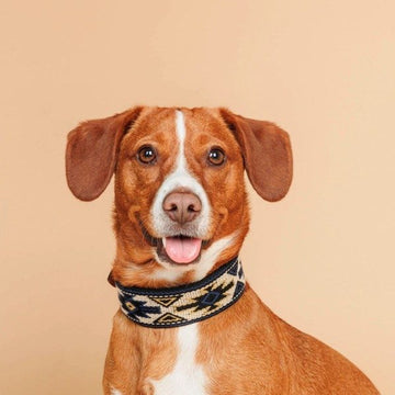 Buddys Dogwear Peyote Azul // Breites und strapazierfähiges Halsband (Bohemian)