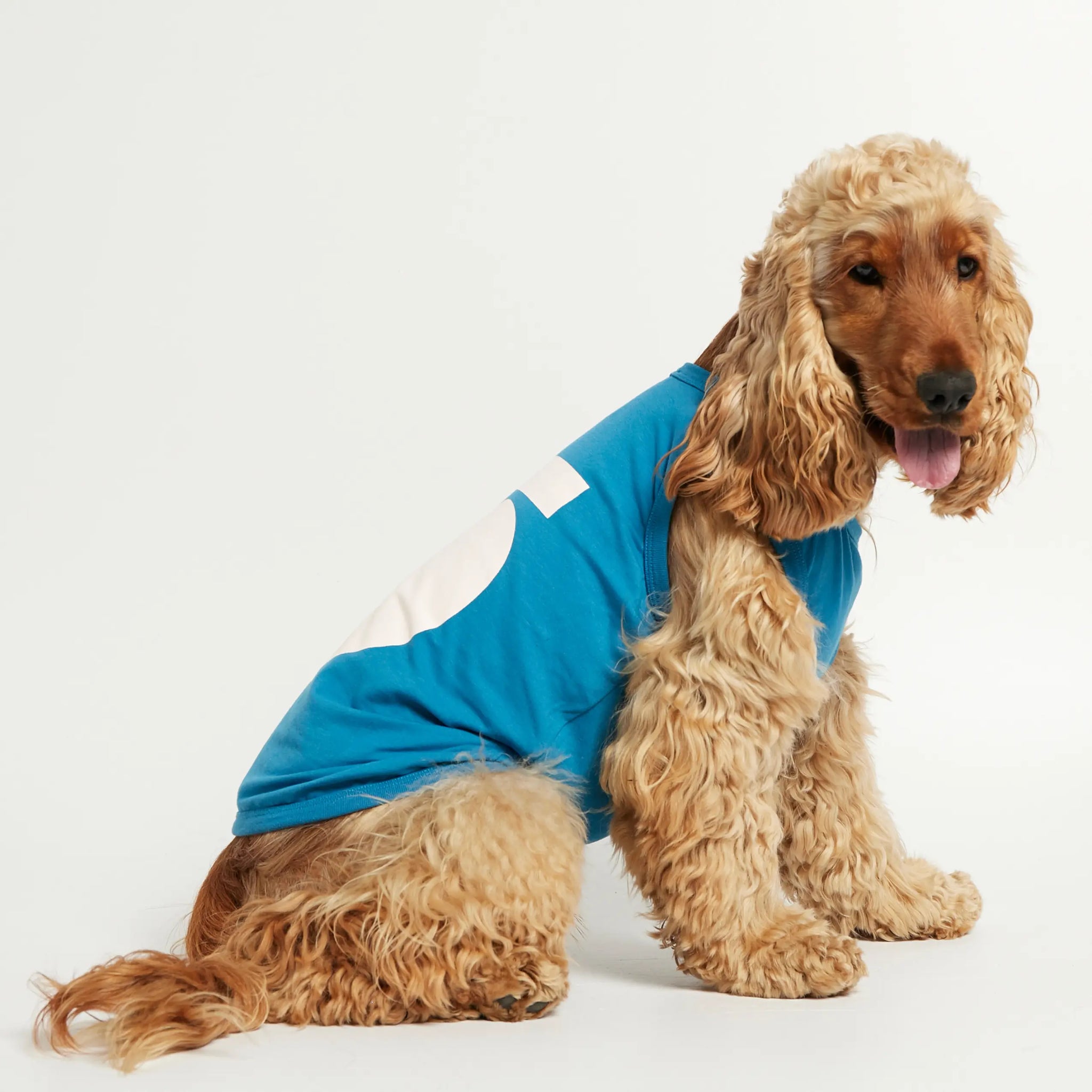 Imi Bodysuit // Hundepullover aus Bio-Baumwolle (blau)