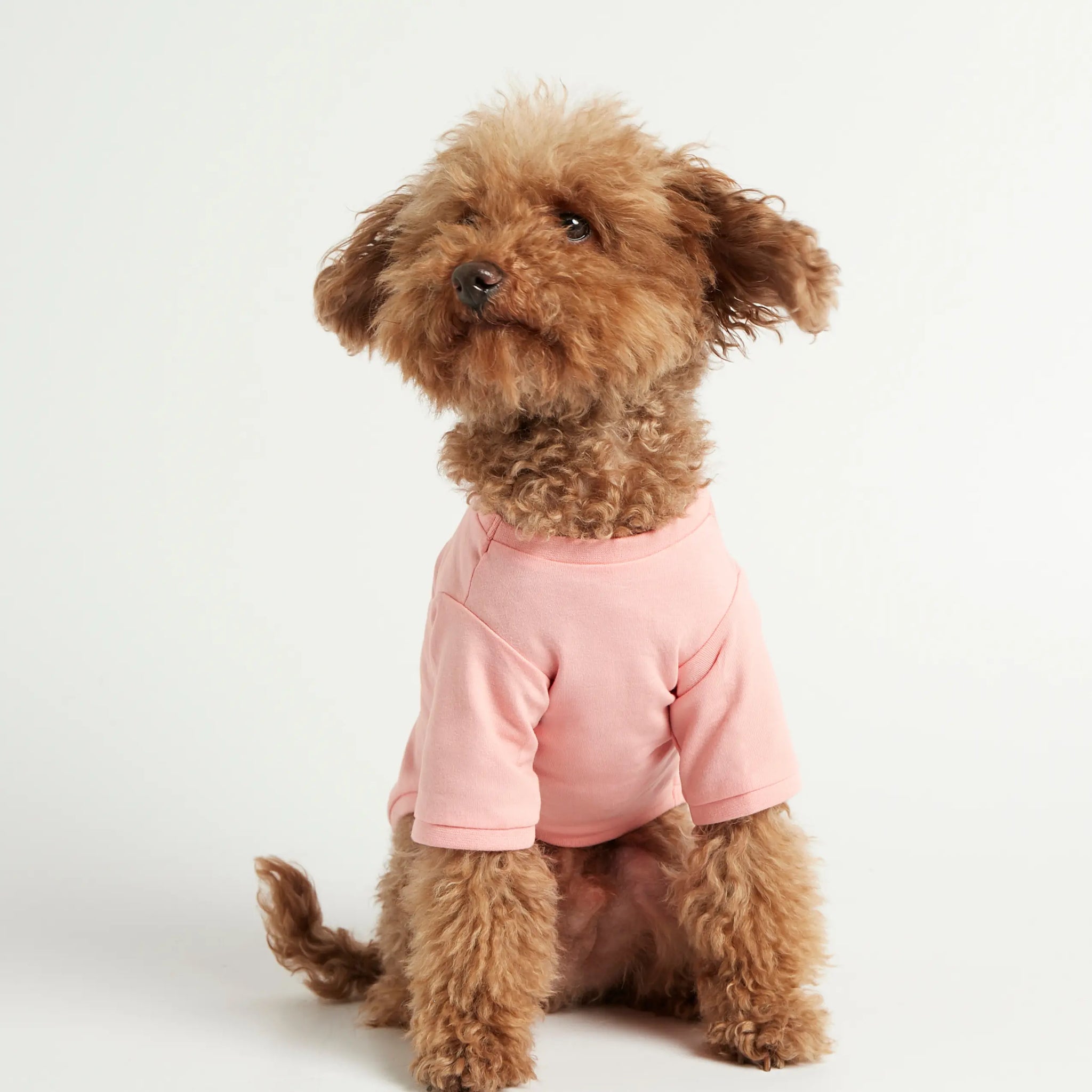 Imi T-Shirt // Hundeshirt mit Ärmeln aus Bio-Baumwolle (pink)