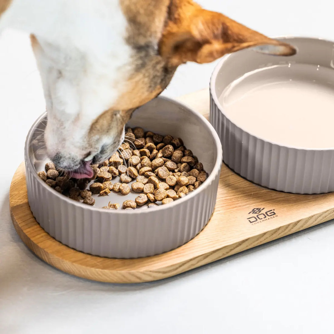 Dog Copenhagen Kronborg // Napfset mit Eichenfuß (Latte/Eiche)