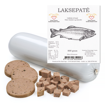 Lachs Pastete // Schmackhafte und natürliche Pastete für Hunde (Lachs/Huhn)