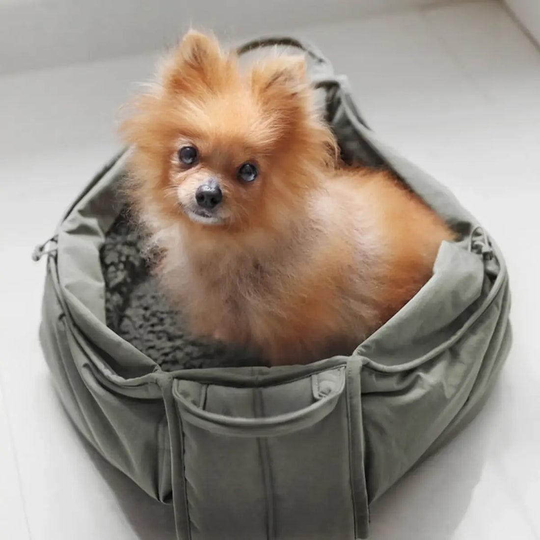Lambwolf Olla // Tragetasche für kleine Hunde bis 5 kg. (Farn)