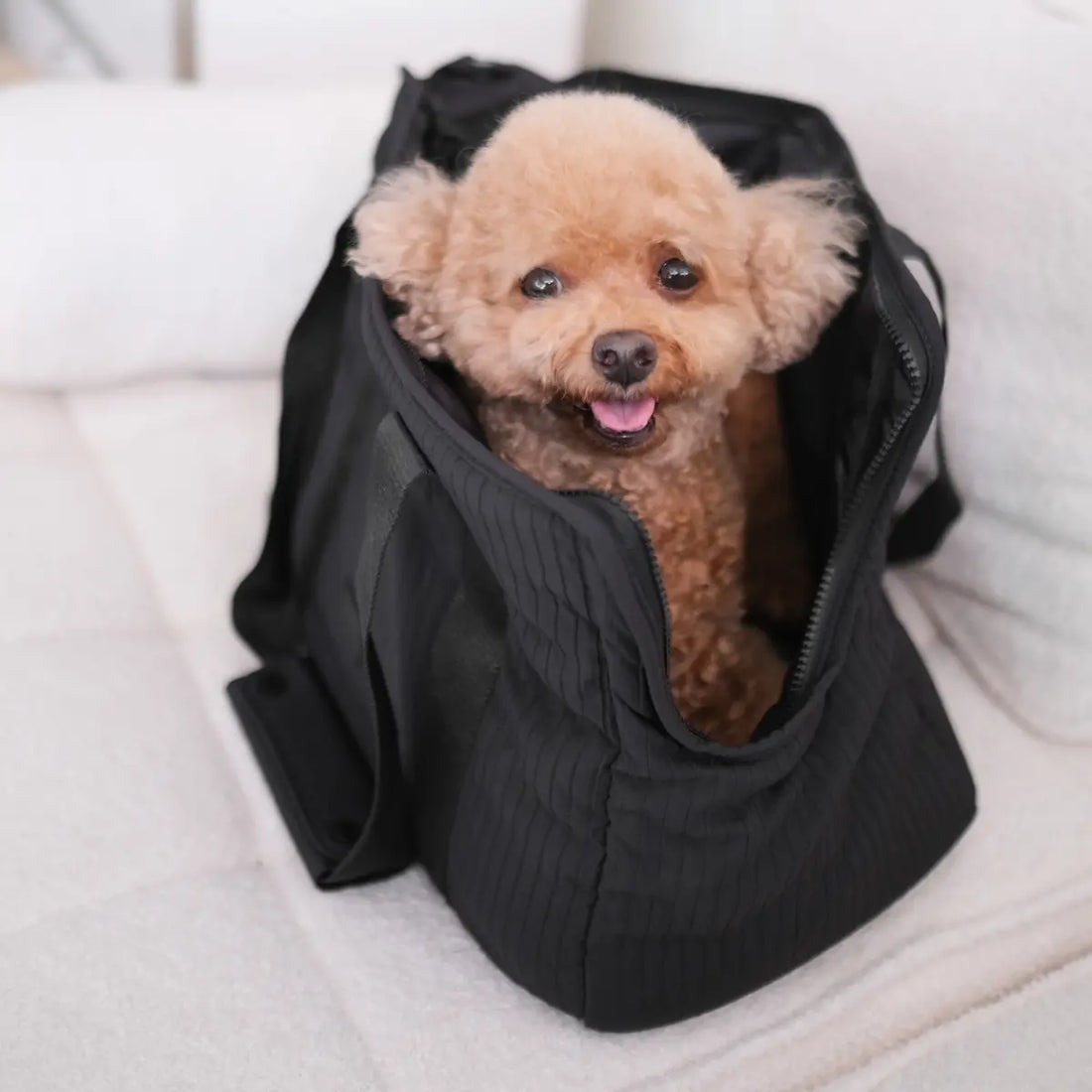 Lambwolf City // Hundetasche mit atmungsaktivem Verschluss (schwarz)