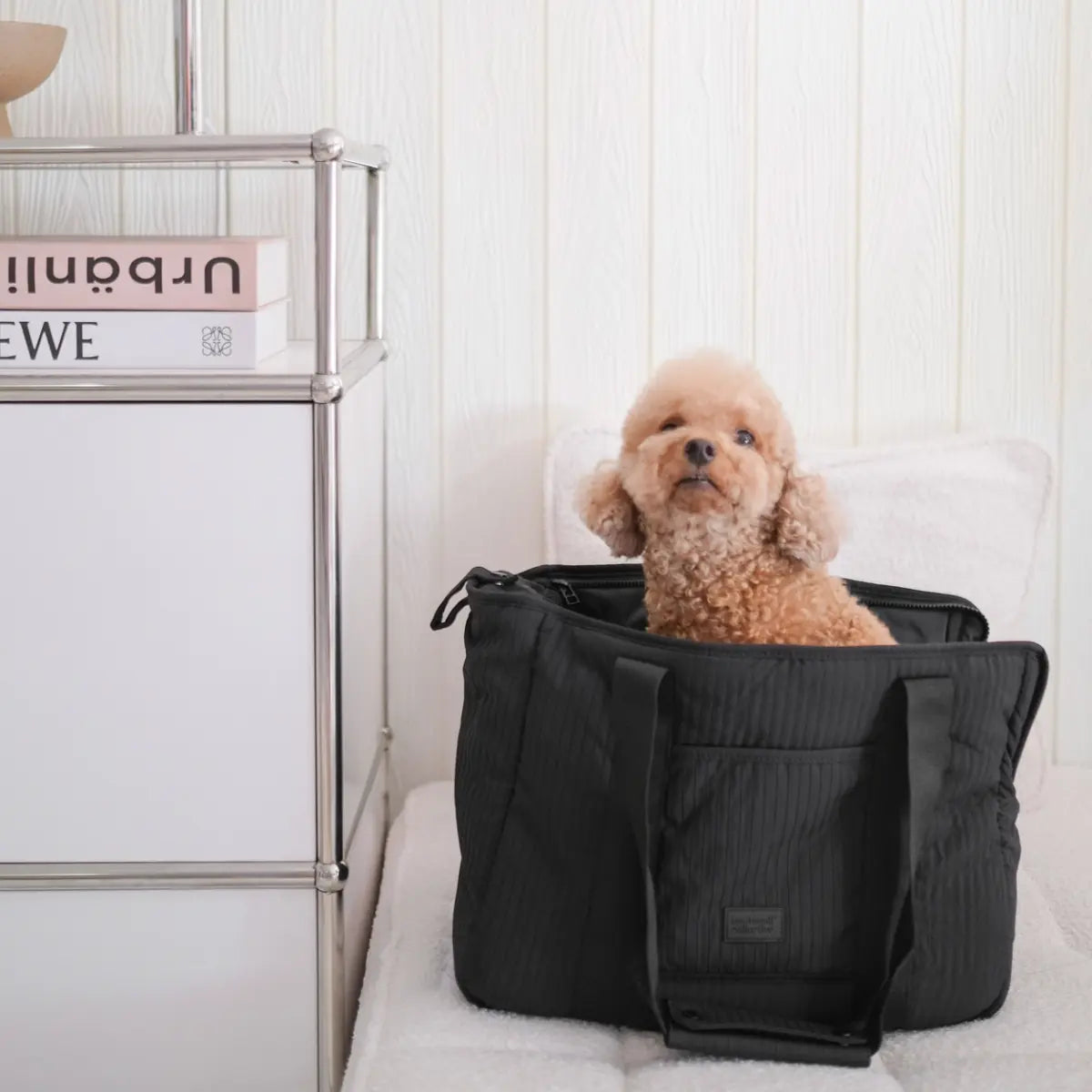 Lambwolf City // Hundetasche mit atmungsaktivem Verschluss (schwarz)