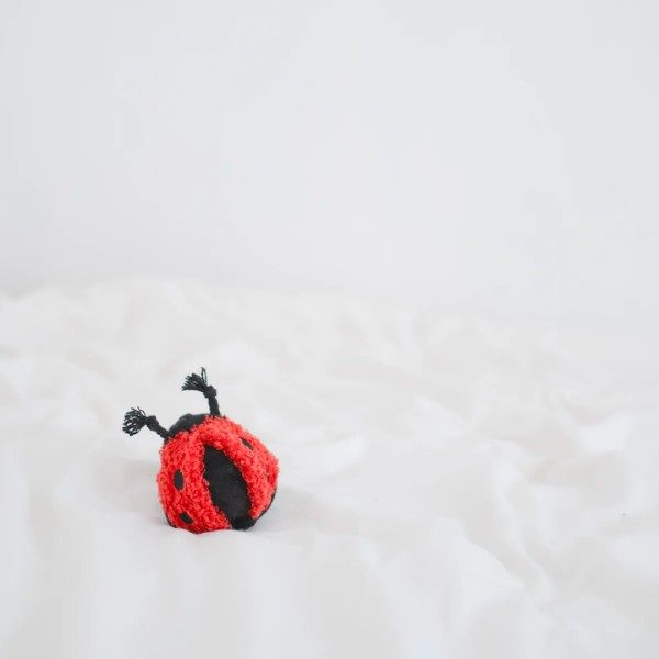 Lambwolf Lady Bug // Aktivitätsspielzeug mit „Piep“
