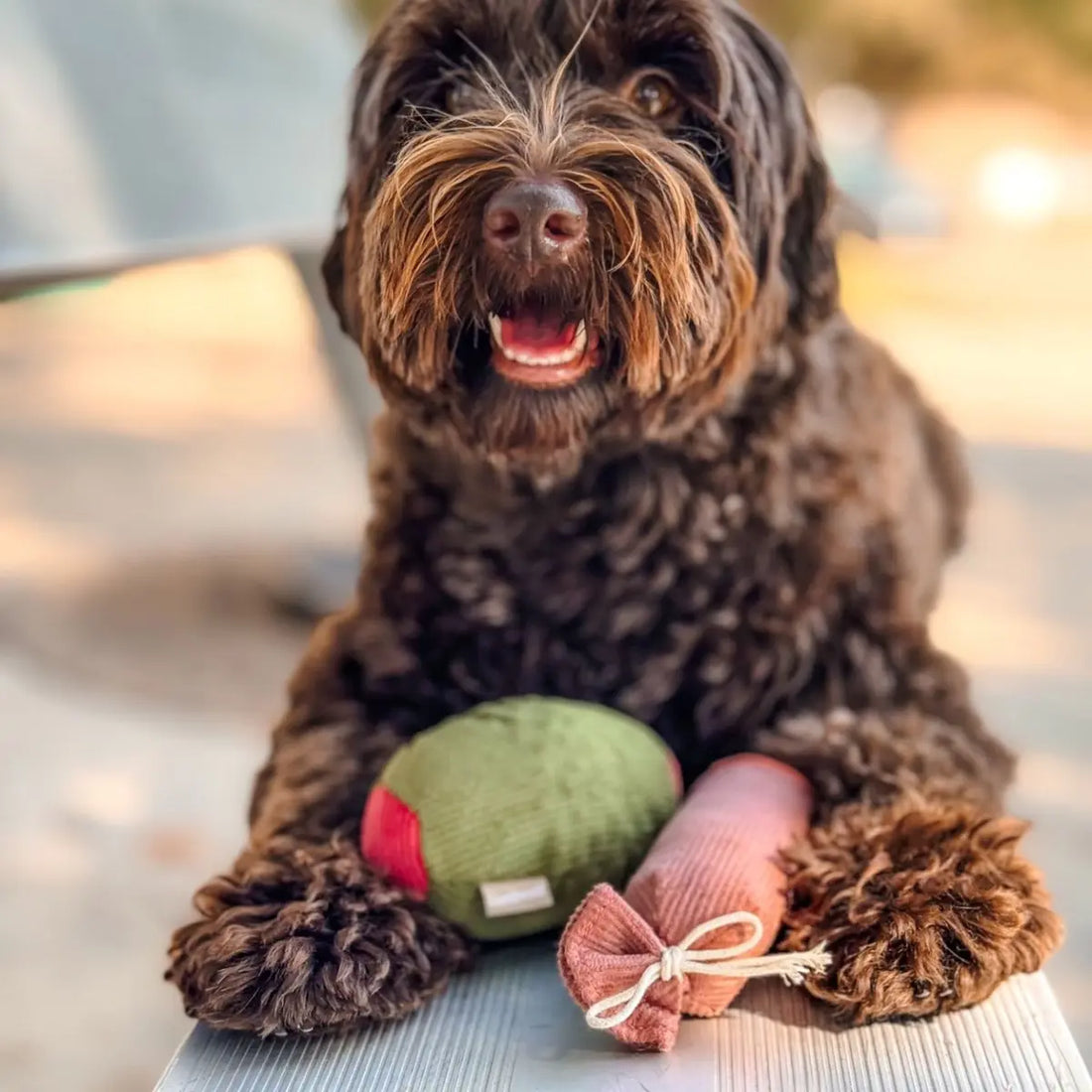 Lambwolf Charcuterie // Spielzeugset mit Ball und Quietsche