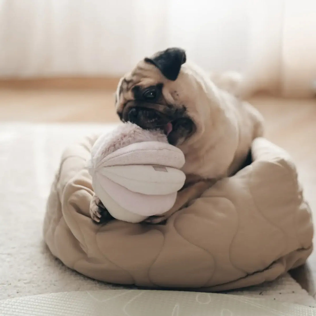 Lambwolf Toto // Aktivitätsball mit Taschen und Quietscher (pink)