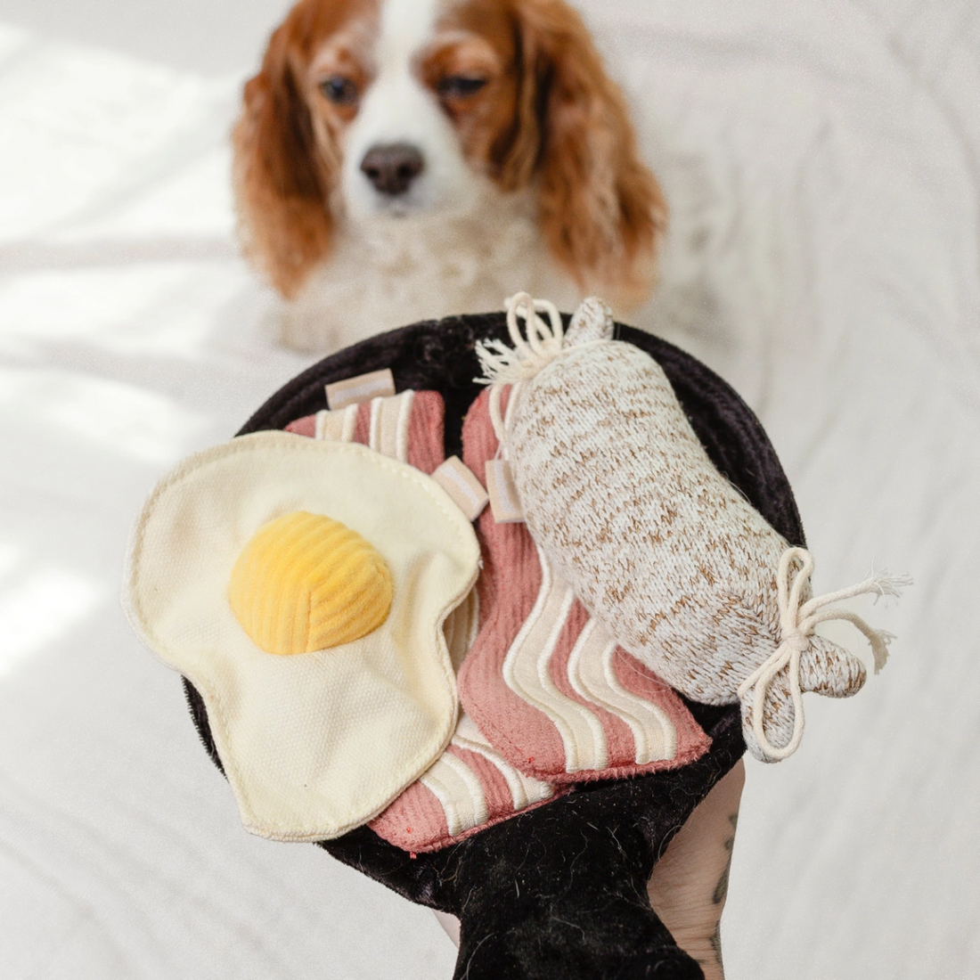 Lambwolf Frühstück // Schnüffel-Aktivitätsspielzeug-Set