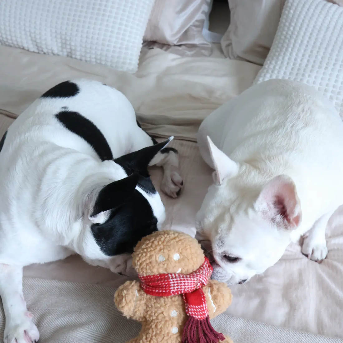 Lambwolf Mister Gingerbread // Weihnachtsteddybär mit lustigen Geräuschen