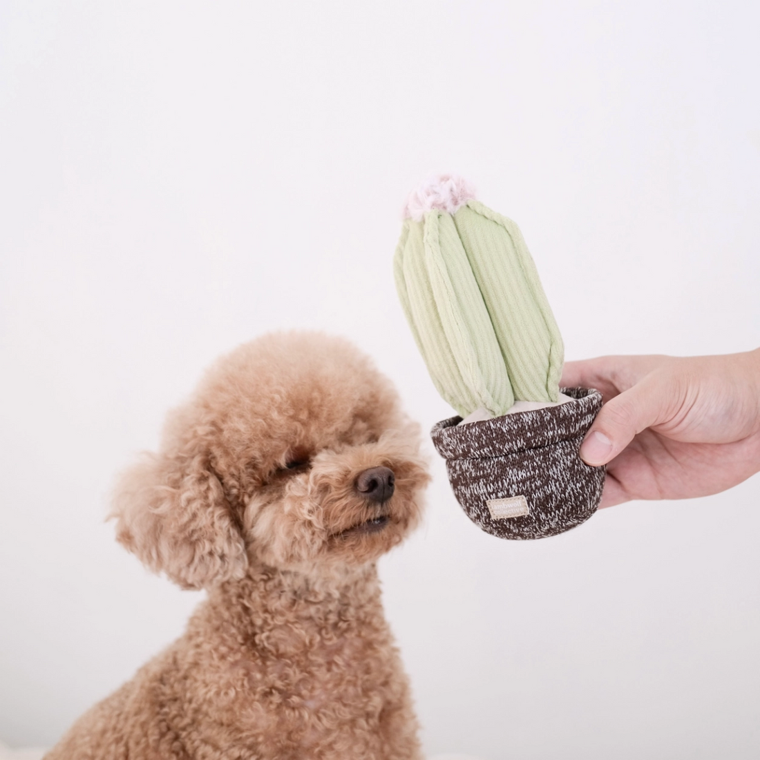 Lambwolf Cactus // Aktivitätsspielzeug mit Taschen für Leckereien