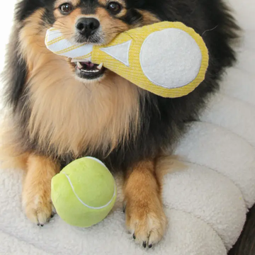Lambwolf Tennis Pop // Aktivitätsspielzeug mit weichem Ball