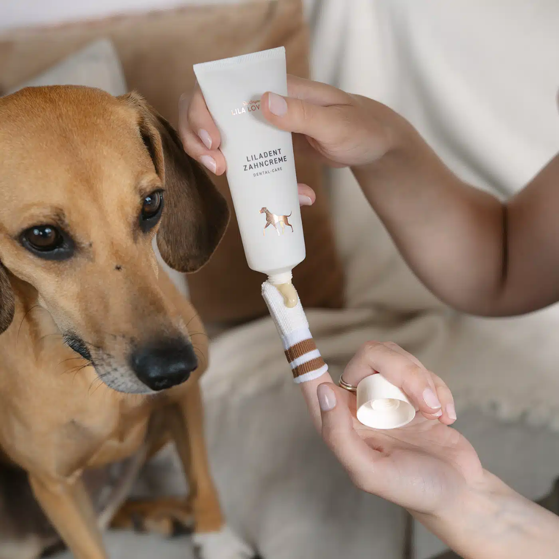 Lila Loves It // Zahnpasta für Hunde – beugt Plaque, Zahnstein und Mundgeruch vor