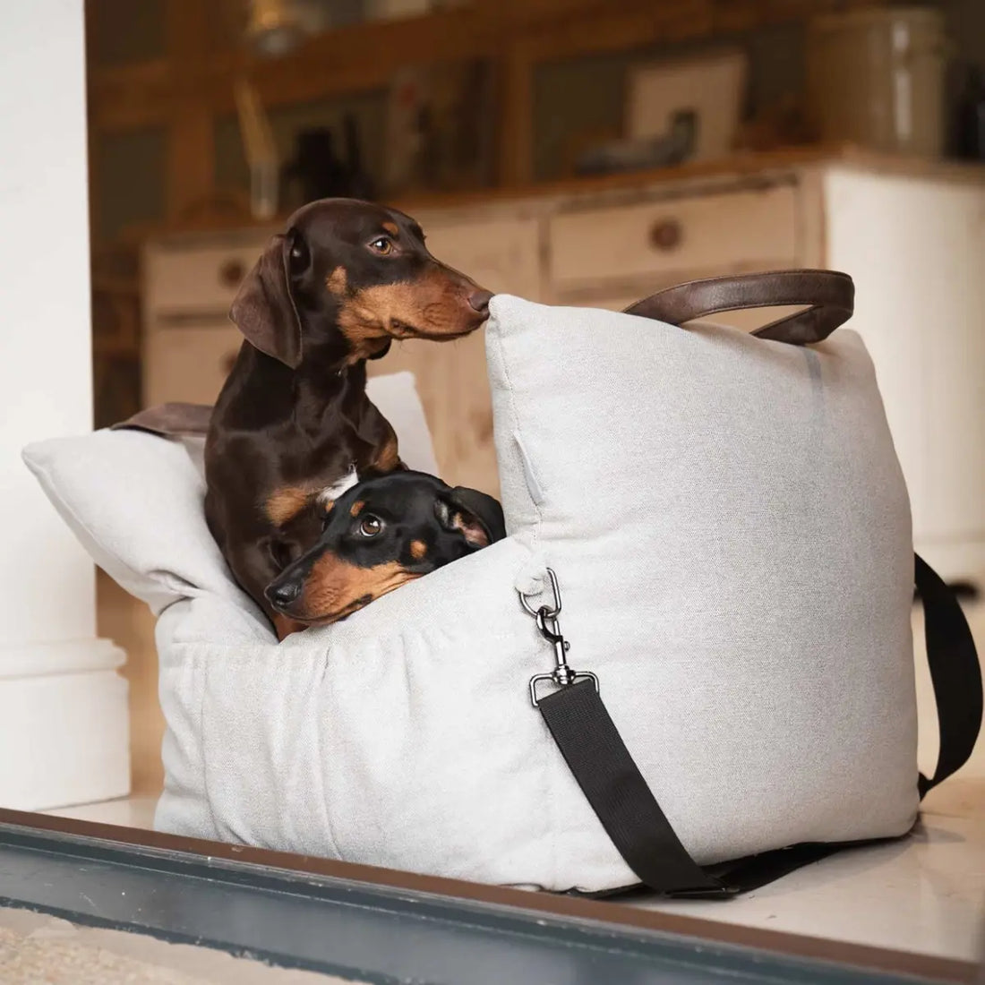 Lords &amp; Labradors // 3-in-1-Autositz für Hunde (Schiefergrau)