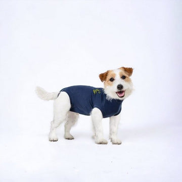 Medical Pet Shirt // Schutzoverall für Hunde (blau)