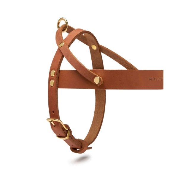 Butter Sahara // Klassisches Geschirr aus weichem Leder (Cognac)