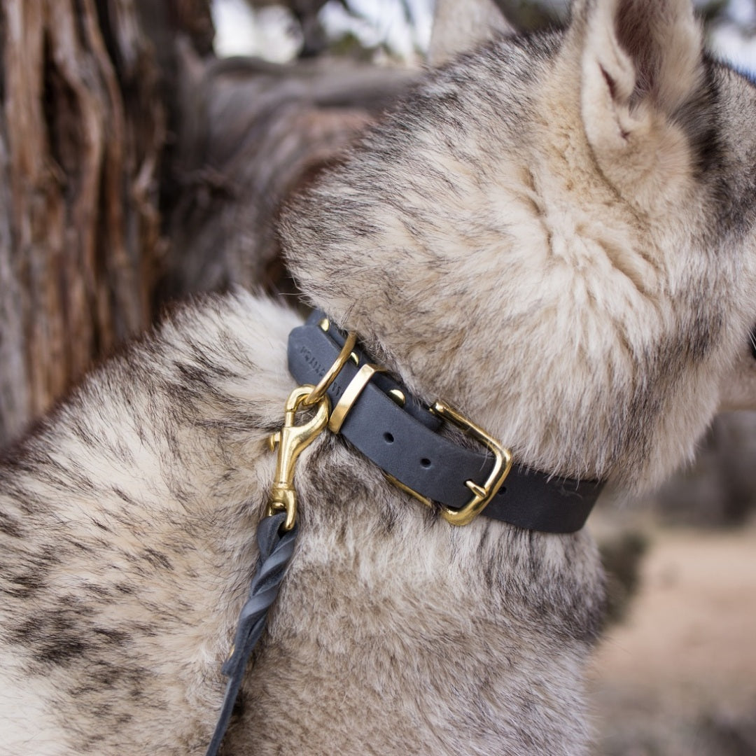Butter Timeless // Weiches Lederhalsband (grau)